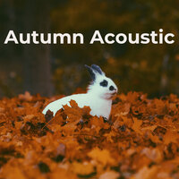 Autumn Acoustic, 2019