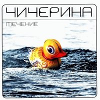 Течение, 2002