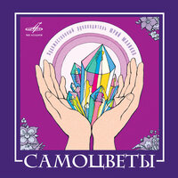 ВИА "Самоцветы", 2008